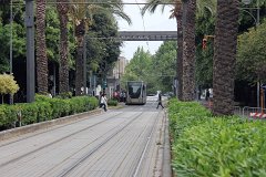 Cityway 10T Palmen und Straßenbahn! palms and trams