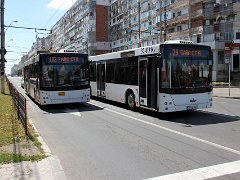 MAZ 203T 1409 Links die O-Bus Variante und rechts die Dieselbusvariante des MAZ203. On the left the trolleybus and on the right the Diesel variant of the MAZ203.