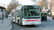 8675_21 Die Citelis gibt es in Lyon in der Normalbusvariante und... Citelis buses can be seen as standard buses and...