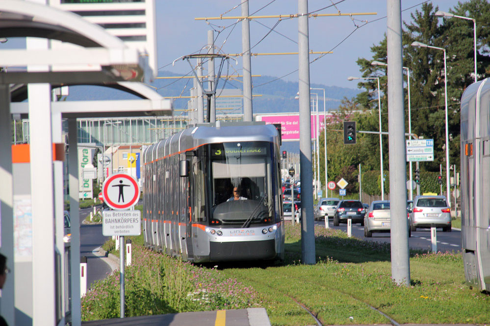 Lint Flexity Outlook C