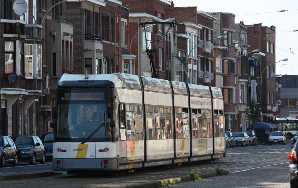 Hermelijn tram Anvers