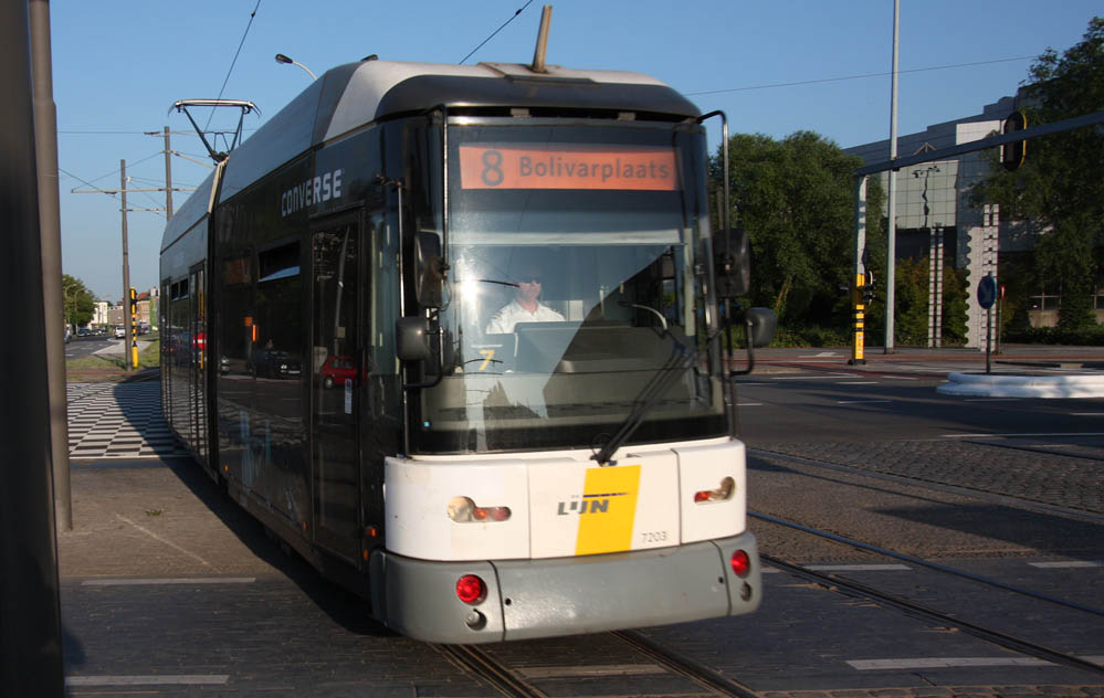 Hermelijn tram Antwerpen