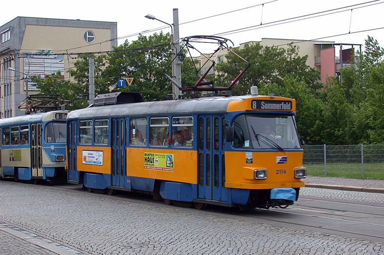 T4D-M