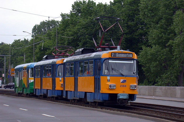 T4D-M