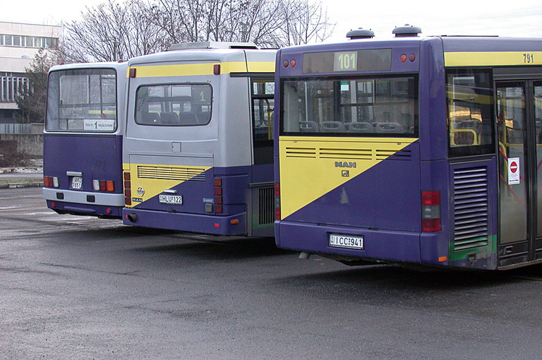 bus