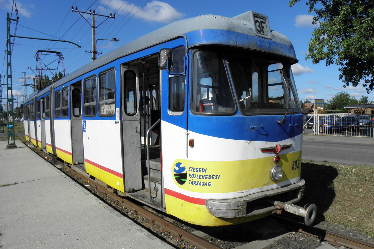 Tram Bengali FVV Szeged