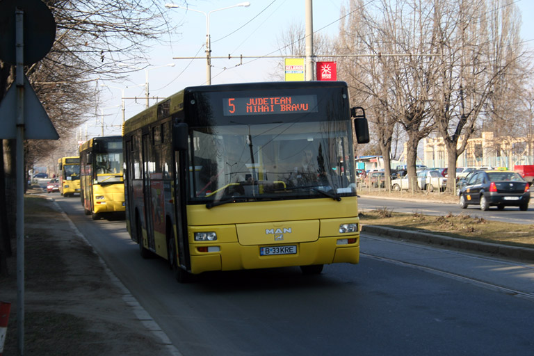 bus