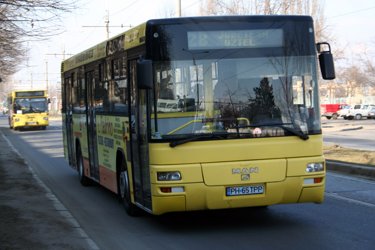 bus