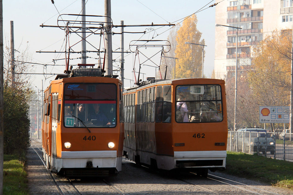 Sofia 100
