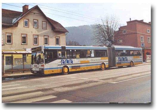 MVG Bus 31