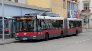 NG243 8235