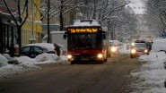 NL243 8528