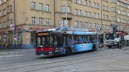 NL243 8516