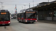 NL243 8504