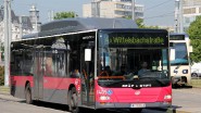 NL273T2 8405 Im Februar 2016 waren noch 42 dieser Busse im Einsatz. In February 2016 some 42 were still in service.