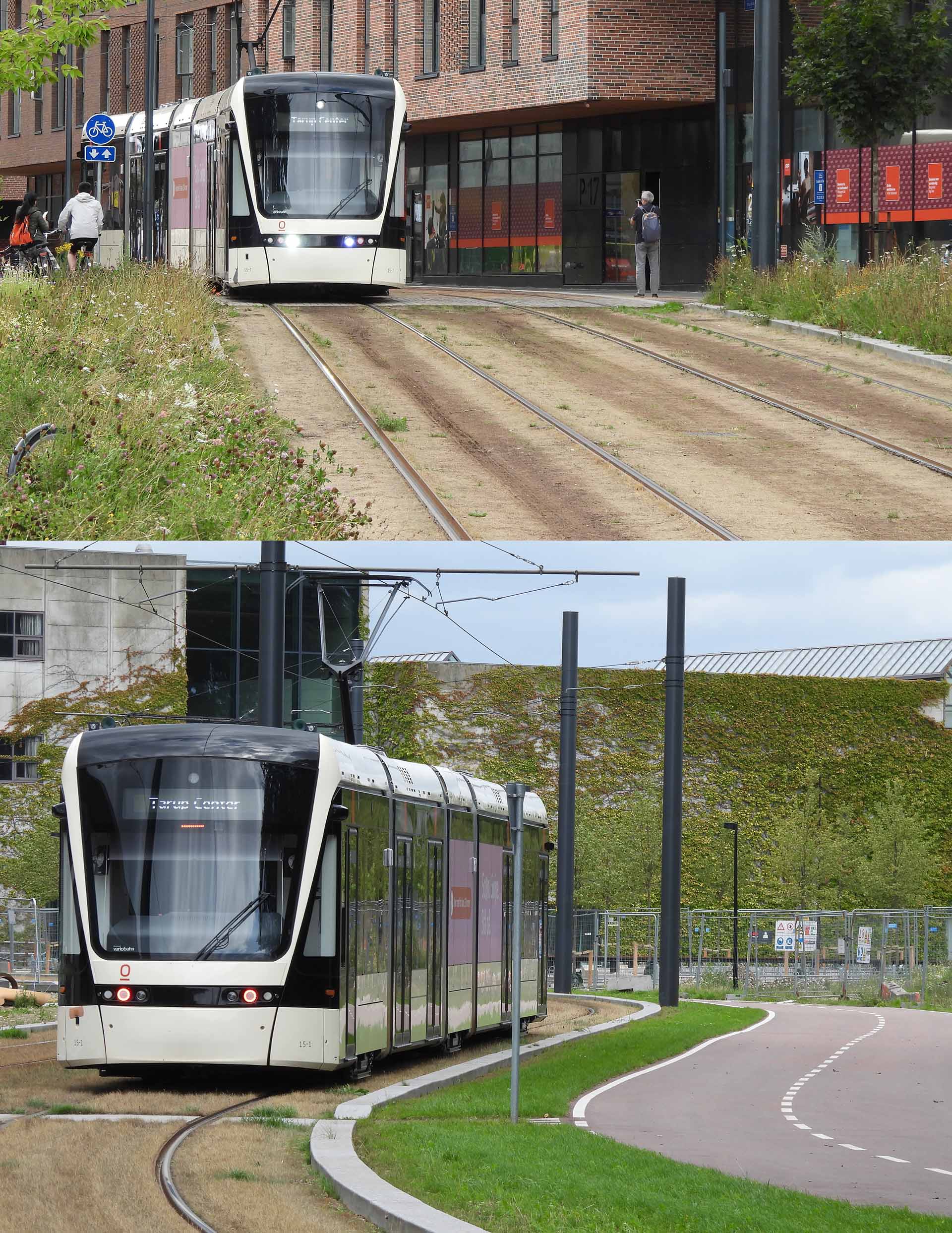 Odense