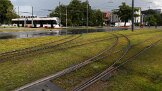 9144_894-Tallinn Und so sieht es etwas östlicher im Sommer 2025 aus. And this is what it looks like a little further east in summer 2025.