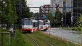9144_931-Tallinn und mit Leben 2025