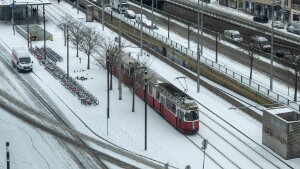 Winter 2026 Das neue Jahr hat mit ein bisschen Schneefall begonnen, im Vergleich zu den Vorjahren war es gefühlt 'viel Schnee' und...